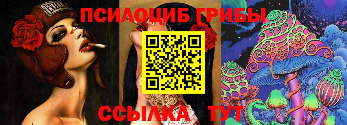 Псилоцибиновые грибы мухоморы  Вход с VPN  Тамбов 
